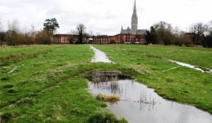 Salisbury water meadows