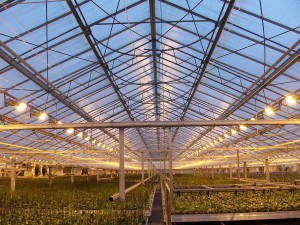 greenhouses-public-domain-wikimedia_