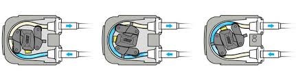 Peristaltic pump diagram showing loop of tube and the two rollers moving round, forcing a slug of fluid through the pump